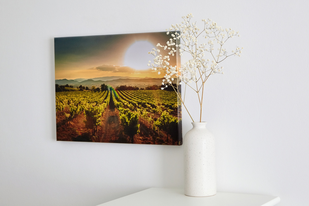 Canvas Photo Print on a Wall